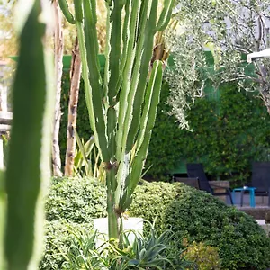 Mercure Centre Notre Dame Hotel Nizza